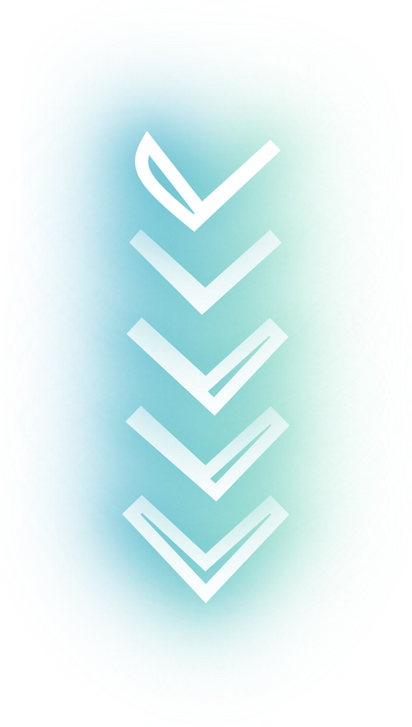 neon line design
